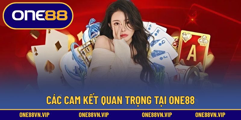 Các cam kết quan trọng tại ONE88