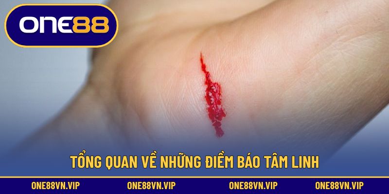 Tổng quan về những điềm báo tâm linh