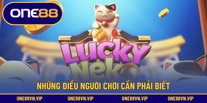 Nguyên tắc quan trọng cần biết