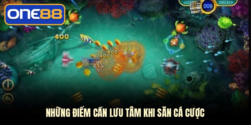 Những điểm cần lưu tâm khi săn cá cược